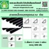 บัวลบมุม